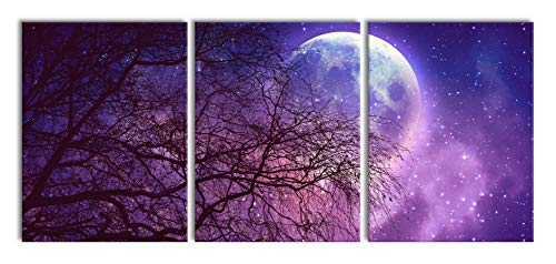 Pixxprint Winterbaum vor Vollmondnacht, XXL Leinwandbild in Übergröße 180x80m Gesamtmaß 3 teilig, Wandbild, Kunstdruck von Pixxprint