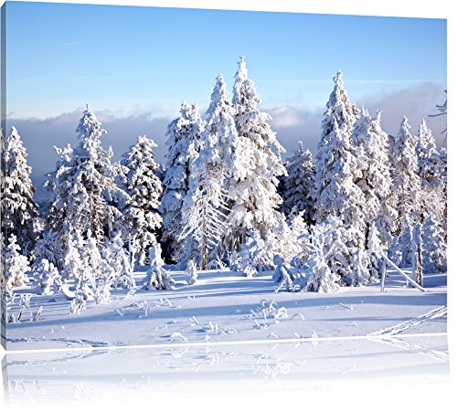 Pixxprint Winterwald, Größe: 100x70cm, Leinwandbild, fertig gespannt, Wandbild, Dekoration, Kunstdruck, kein Poster Pixxprint Winterwald, Größe: 100x70cm, Leinwandbild, fertig gespannt, Wandbild, Dekoration, Kunstdruck, kein Poster von Pixxprint