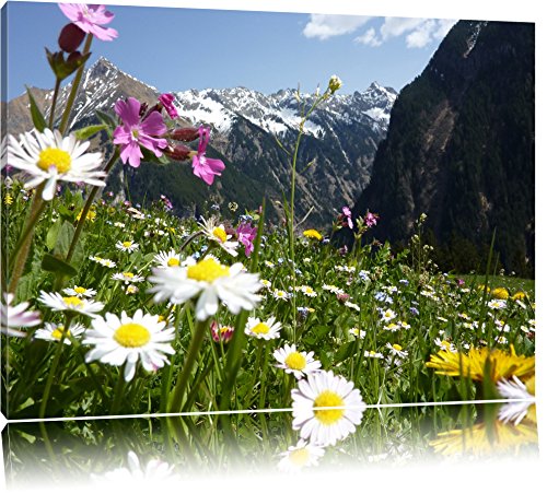 Pixxprint Wunderschöne Blumen Alpenwiese, Größe: 100x70cm, Leinwandbild, fertig gespannt, Wandbild, Dekoration, Kunstdruck, kein Poster von Pixxprint