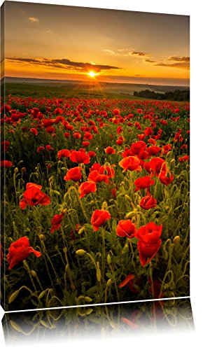 Pixxprint Wunderschöne Mohnwiese im Sonnenuntergang, Größe: 60x40cm, Leinwandbild, fertig gespannt, Wandbild, Dekoration, Kunstdruck, kein Poster Pixxprint Wunderschöne Mohnwiese im Sonnenuntergang, Größe: 60x40cm, Leinwandbild, fertig gespannt, Wandbild, Dekoration, Kunstdruck, kein Poster von Pixxprint