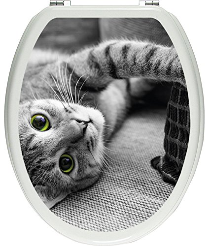 Pixxprint niedliche Katze spielt mit Kissen schwarz/weiß als Toilettendeckel Aufkleber, WC, Klodeckel - Maße: 32x40 cm, Gläzendes Material Toilettendeckelaufkleber, Vinyl, bunt, 40 x 32 x 0.02 cm von Pixxprint