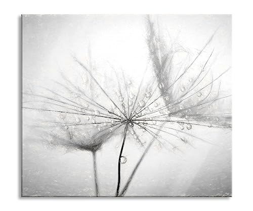 Pusteblume bedeckt mit Tropfen Herdabdeckplatte & Spritzschutz aus Echtglas | Für Herd-Kochfelder | 60x52 cm von Pixxprint