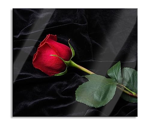 Rose Herdabdeckplatte & Spritzschutz aus Echtglas | Für Herd-Kochfelder | 60x52 cm von Pixxprint