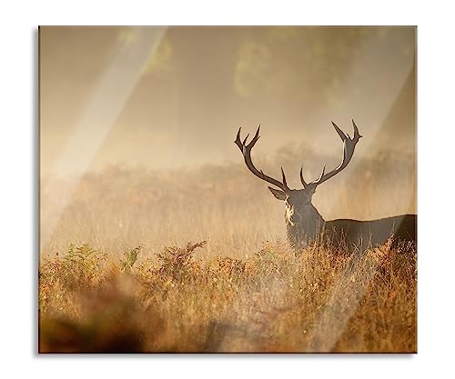 Rotwild Hirsch im Nebel Herdabdeckplatte & Spritzschutz aus Echtglas | Für Herd-Kochfelder | 60x52 cm von Pixxprint
