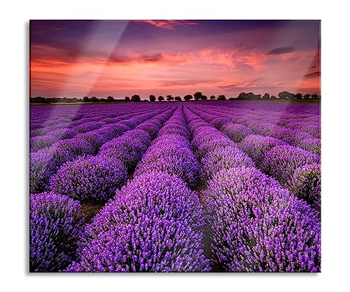 Wunderschöne Lavendel Provence Herdabdeckplatte & Spritzschutz aus Echtglas | Für Herd-Kochfelder | 60x52 cm von Pixxprint