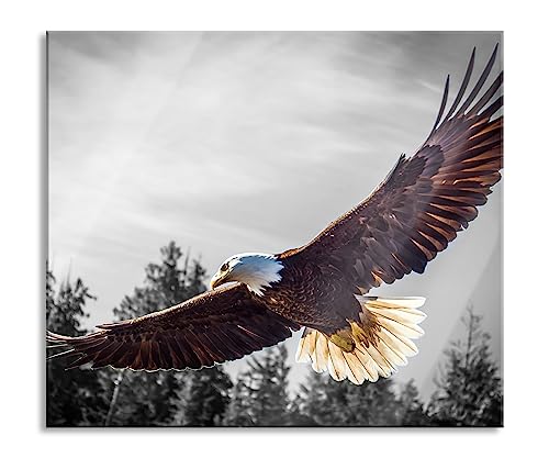 großer fliegender Adler Herdabdeckplatte & Spritzschutz aus Echtglas | Für Herd-Kochfelder | 60x52 cm von Pixxprint