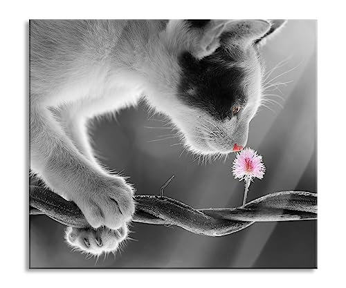 niedliche Katze mit Blüte Herdabdeckplatte & Spritzschutz aus Echtglas | Für Herd-Kochfelder | 60x52 cm von Pixxprint
