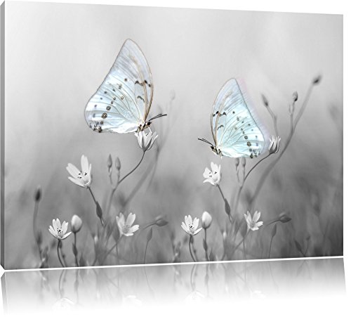 Pixxprint Zwei schöne weiße Schmetterling auf kleinen Blumen B&W Detail, Format: 80x60 auf Leinwand, XXL riesige Bilder fertig gerahmt mit Keilrahmen, Kunstdruck auf Wandbild mit Rahmen. von Pixxprint
