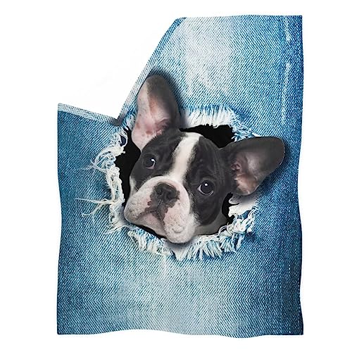 Pizding Decke, 150 x 199,9 cm, Kuscheldecken, weiches Flanell, weiche Fleecedecke, Bettüberwurf, bequemer Mops-Hunde-Druck, Blau von Pizding