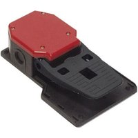 Pizzato Elettrica - pa 20301-M2 Fußschalter 250 v/ac 6 a 1 Pedal 1 Schließer, 1 Öffner IP65 1 St. von Pizzato Elettrica