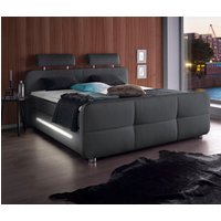 Jockenhöfer Gruppe Boxspringbett "Gina" inkl. Topper und LED-Beleuchtung, erhältlich in der Größe 180x200cm Jockenhöfer Gruppe Boxspringbett "Gina" inkl. Topper und LED-Beleuchtung, erhältlich in der Größe 180x200cm von Jockenhöfer Gruppe