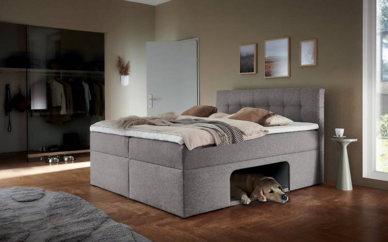 Places of Style Boxbett Carolin, mit Nische inkl. gepolsterter Unterlage für Haustiere von Places of Style