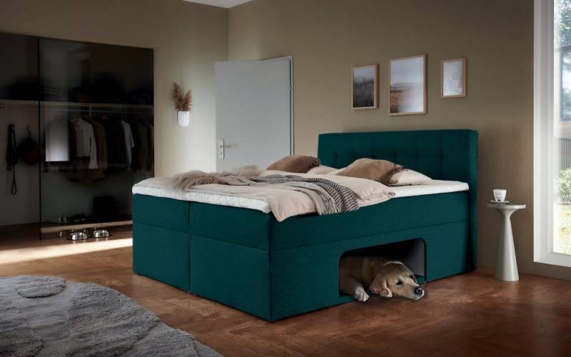 Places of Style Boxbett Carolin, mit Nische inkl. gepolsterter Unterlage für Haustiere von Places of Style