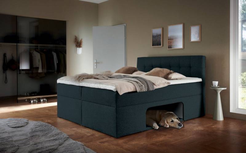 Places of Style Boxbett Carolin, mit Nische inkl. gepolsterter Unterlage für Haustiere von Places of Style
