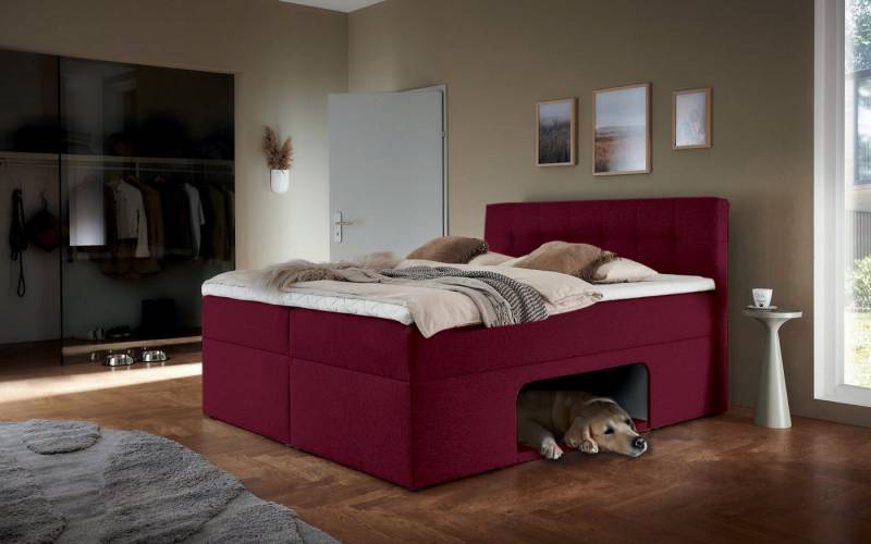 Places of Style Boxbett Carolin, mit Nische inkl. gepolsterter Unterlage für Haustiere von Places of Style