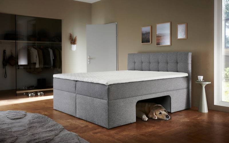 Places of Style Boxbett Carolin, mit Nische inkl. gepolsterter Unterlage für Haustiere von Places of Style