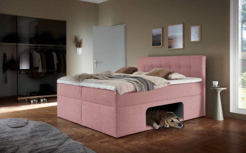 Places of Style Boxbett Carolin, mit Nische inkl. gepolsterter Unterlage für Haustiere von Places of Style