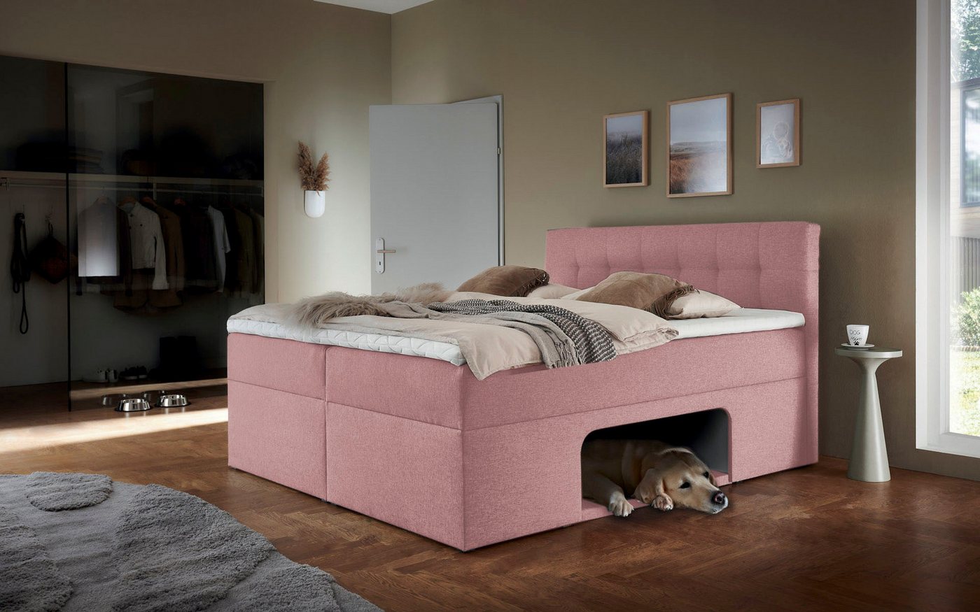 Places of Style Boxbett Carolin, mit Nische inkl. gepolsterter Unterlage für Haustiere Places of Style Boxbett Carolin, mit Nische inkl. gepolsterter Unterlage für Haustiere von Places of Style