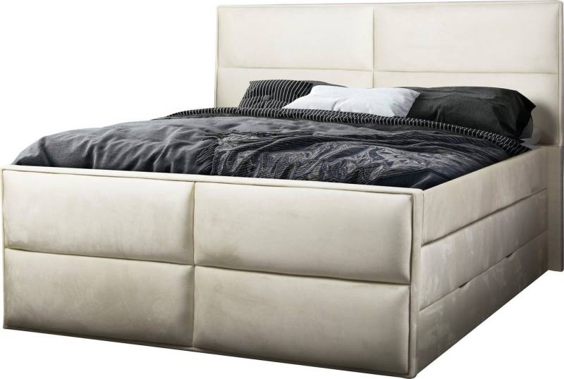 Places of Style Boxspringbett Williston, incl. Topper und Bettkasten, in 4 Breiten, 2 Matratzenarten von Places of Style