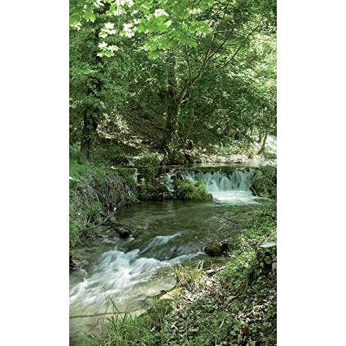 Plage Panorama-Tapete – Flusse, Grün, 1,5X 2,5m von Plage