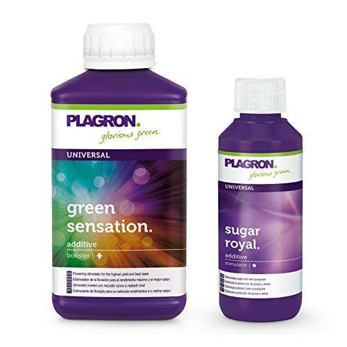 Plagron Green Sensation 250 ml und Sugar Royal 100 ml mit Aktionscode Plagron Green Sensation 250 ml und Sugar Royal 100 ml mit Aktionscode von Plagron