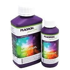Plagron Green Sensation 250 ml von Plagron