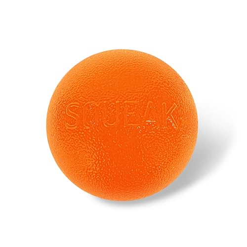 Planet Dog Orbee-Tuff Squeak - Quietsch-Ball für Hunde - Spielzeug zum Apportieren - Orange von Planet Dog