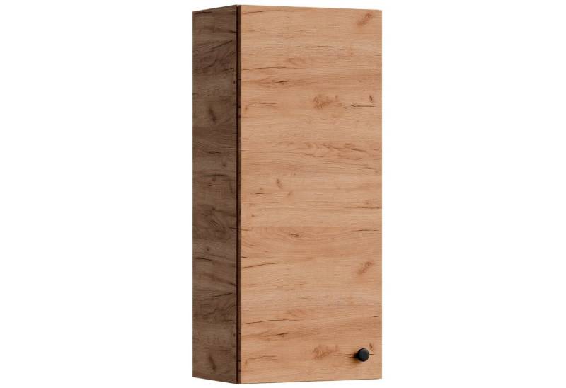 Planetmöbel Midischrank Midischrank 32cm (Gold Eiche) Planetmöbel Midischrank Midischrank 32cm (Gold Eiche) von Planetmöbel