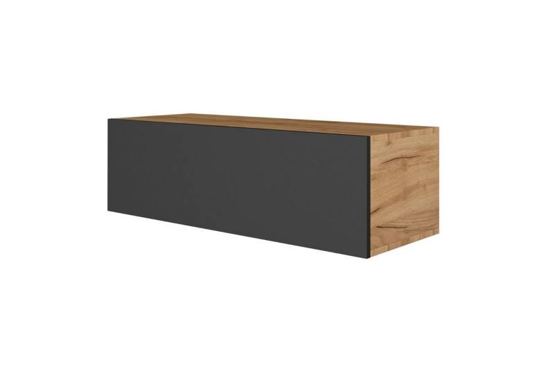 Planetmöbel TV-Board Planetmoebel TV Board WEST 100 - 320 cm, verschiedene Farben (TV Lowboard, Fernsehschrank hängend oder stehend), Fernsehtisch 1x 100cm breit von Planetmöbel