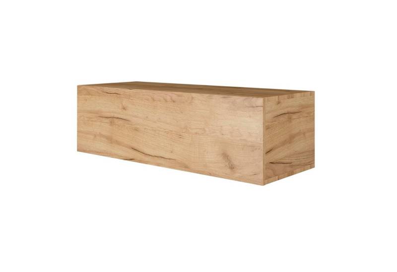 Planetmöbel TV-Board WEST (TV Lowboard, Fernsehschrank hängend oder stehend), Fernsehtisch 1x 100cm breit von Planetmöbel