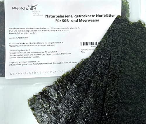 Naturbelassene, getrocknete Meeresalgenblätter Noriblätter Futter Algen (19x10 cm, 5 Blätter 4 g) von Plankton24