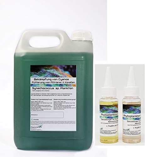 Plankton24 Zuchtansatz - 5 Liter Synechococcus + 100 ml Dünger von Plankton24