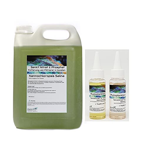 Plankton24 Zuchtansatz - 5 Liter Nannochloropsis + 100 ml Dünger von Plankton24