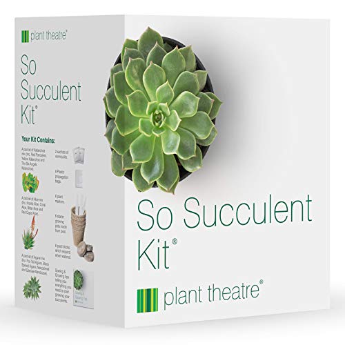 Plant Theatre So Succulent Kit - Gift Seed Kit with Super Succulent Plant Varieties to Grow, So Easy to Care for! von Plant Theatre