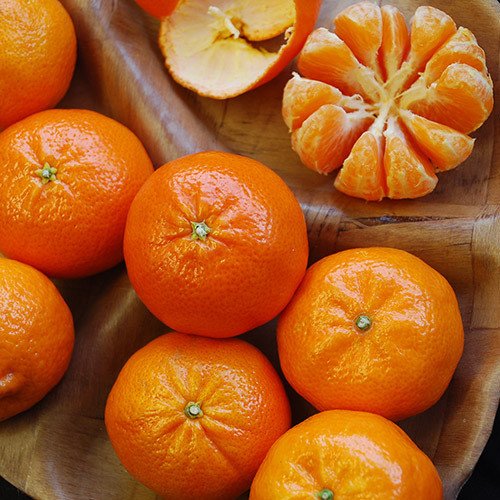 Plant World Seeds - Orange Satsuma (mandarin/tangerine) Seeds von Plant World Seeds