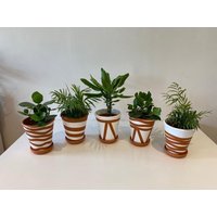 Blumentopf Terracotta&weiß in Verschiedenen Mustern Handbemalt Zur Auswahl Blumentopf Terracotta&weiß in Verschiedenen Mustern Handbemalt Zur Auswahl von PlantManiax