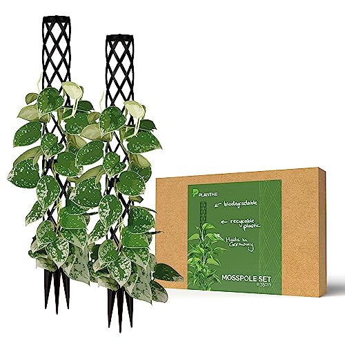 PlantMe Rankhilfe Mini, kleine Rankhilfen für Kletterpflanzen, Monstera, Moosstab, Pflanzstab, Pflanzenstütze, small Moss Pole, Kletterhilfe Zimmerpflanzen (2X 40cm Without Filling, Schwarz) von PlantMe