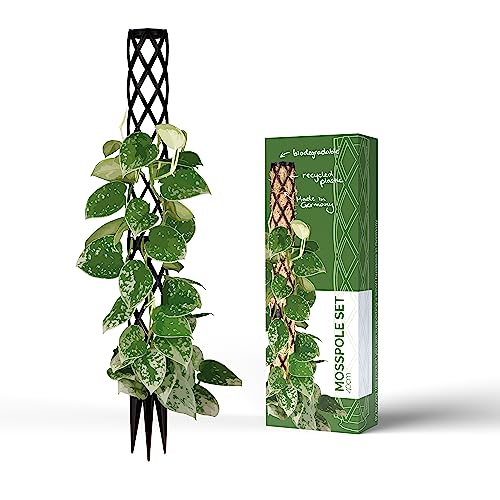 PlantMe Rankhilfe Mini, kleine Rankhilfen für Kletterpflanzen, Monstera, Moosstab, Pflanzstab, Pflanzenstütze, small Moss Pole, Kletterhilfe Zimmerpflanzen (40cm Without Filling, Schwarz) von PlantMe