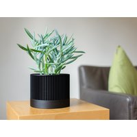 Plantme Blumentopf Stripe, Übertopf in 6cm Und 12cm, Schwarz, Weiß, Grün von PlantMeDe