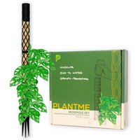 Plantme Moosstab Midi Komplettset 70cm, Schwaz, Weiß, Grau-Grün von PlantMeDe
