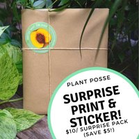 Surprise Druck & Sticker Pack, 8 X 10, Druck, Sticker, Kunst, Überraschungskunst, Überraschungspaket, Vegane Pflanzenkunst, Mystery Print Und Surprise Druck & Sticker Pack, 8 X 10, Druck, Sticker, Kunst, Überraschungskunst, Überraschungspaket, Vegane Pflanzenkunst, Mystery Print Und von PlantPosse