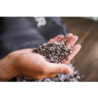 Feinsaatmischung Für Keimung Auf Basis Von Bioaktiver Erde & Feinem Perlit-Sämling - Steckling Vermehrungserde Blumenerde Pflanzerde 8.5L von PlantScraper