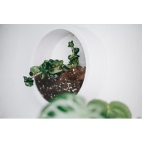 stilvoller Runder Übertopf Zum Aufhängen An Der Wand Für Die Zimmerpflanzendekoration - Pflanzentopf-Display Den Innenbereich von PlantScraper
