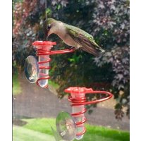 Neu Single New Flower Micro Hum-Fi ™, Mini-Handhummingbird-Feeder W Fenster-Sitzstange von PlantWhisperer