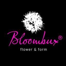 !!WELTNEUHEIT!! Bloombux® – flower & form by INKARHO® 25-30 cm breit im 2 Liter Pflanzcontainer von Plantenwelt