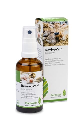 PlantaVet RevivoVet | 50 ml | Spray zur Unterstützung der Atemtätigkeit | Zum Aufsprühen auf die Nase von neugeborenen Hunde(welpen), Katzen(welpen), Kälbern, Fohlen und Ferkeln PlantaVet RevivoVet | 50 ml | Spray zur Unterstützung der Atemtätigkeit | Zum Aufsprühen auf die Nase von neugeborenen Hunde(welpen), Katzen(welpen), Kälbern, Fohlen und Ferkeln von PlantaVet