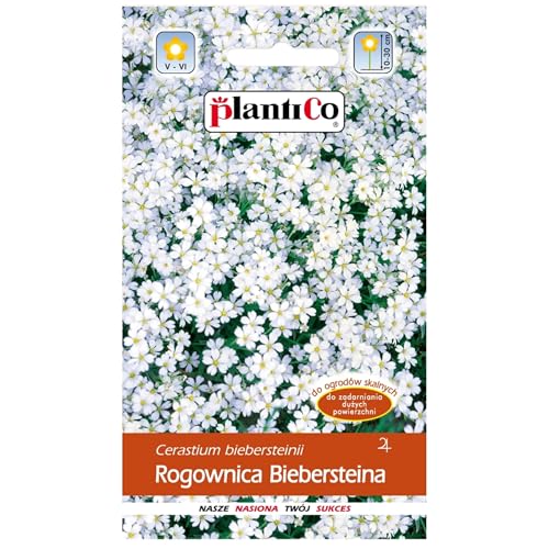 PlantiCo 0,3g Bieberstein Hornkraut Blumensamen für Balkon Terrasse Blühpflanze Staude für prunkvolle Blütenteppiche Frostbeständige Mehrjährige PlantiCo 0,3g Bieberstein Hornkraut Blumensamen für Balkon Terrasse Blühpflanze Staude für prunkvolle Blütenteppiche Frostbeständige Mehrjährige von PlantiCo