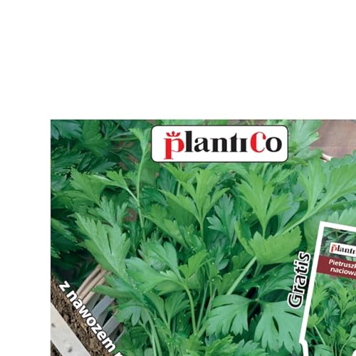 PlantiCo Natalka Petersilie 5m Saatband Samen Robuste Gemüsesamen Gemüse Samen Anzucht Saatgut Gewächshaus Garten Gemüsegarten von WegAna