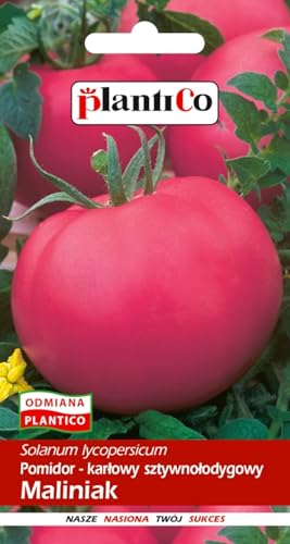 PlantiCo Tomaten Himbeere Maliniak 0,5 g Samen Tomatensamen Robuste Gemüsesamen Gemüse Samen Anzucht Saatgut Gewächshaus Garten Gemüsegarten von WegAna