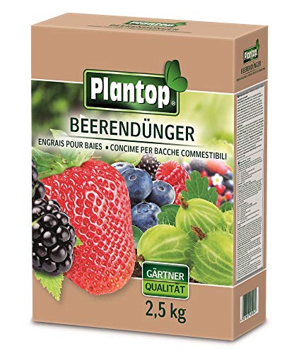 PLANTOP Beerendünger 2,5kg von Plantop
